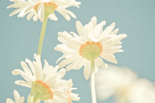 在时间中平静,在岁月里老去 (7)