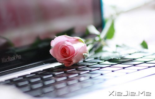 不要轰轰烈烈,只求安安心心 (5)