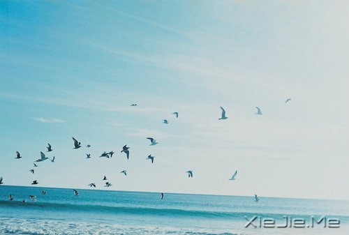 不争,也有属于你的世界 (2)