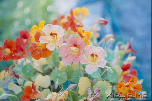 若你懂得,就请珍惜 (5)