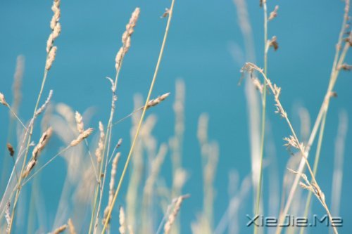 不要艳羡他人,不要输掉自己 (7)