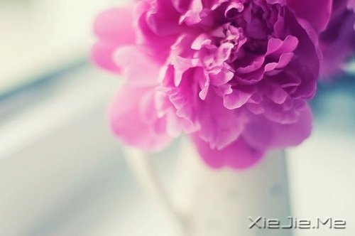 要看清自己,不要看轻自己 (1)