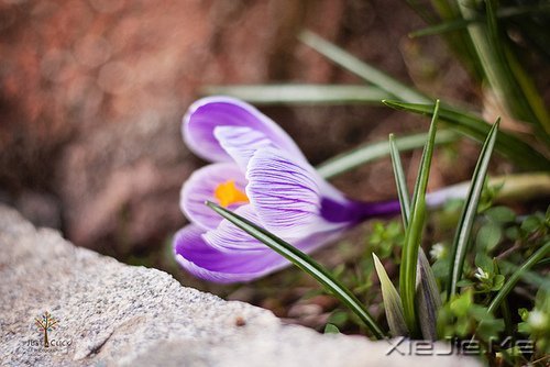 每个人都有自己的人生,冷暖自知 (9)