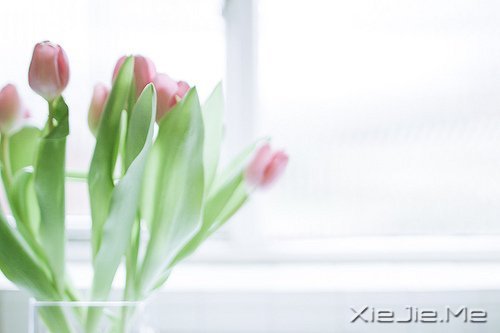 只有知足感恩,才能笑对人生 (4)