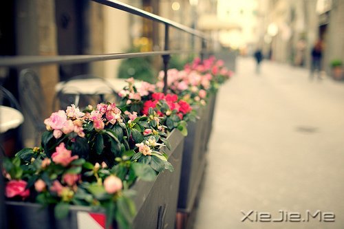 安静下来才能看到真实的自己 (3)