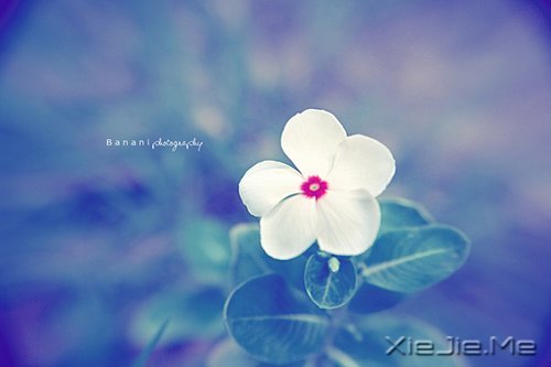 淡然一切,往事如烟 (6)