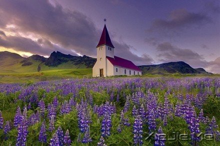 要替别人着想,但为自己而活 (7)