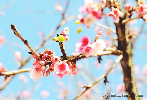 生活中没有理所当然,只有心甘情愿 (7)