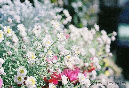 我不完美,但我是完整的自己 (6)