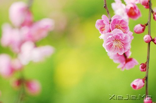 很多道理我们都是心知道,却做不到 (4)