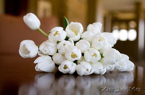 默然相爱,寂静喜欢 (8)