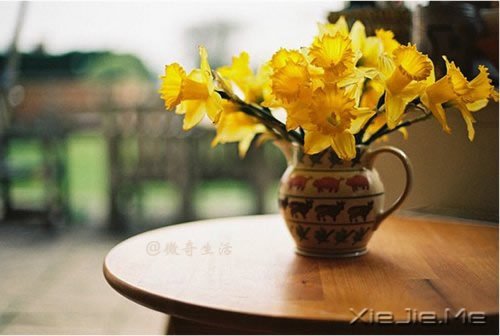 风雨的前方,那是彩虹的方向 (9)