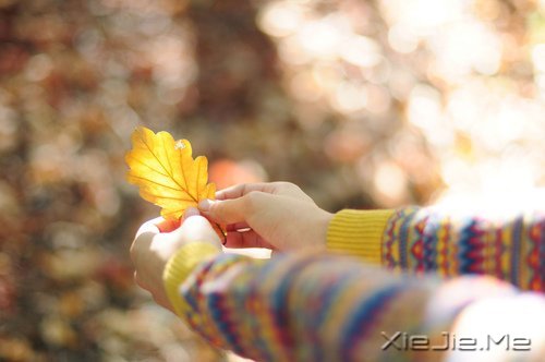 无论好坏,明天都会到来 (7)