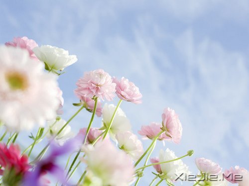 人生,一半是现实,一半是梦想 (1)