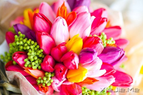 请你善良,无论这世界多冷漠 (5)