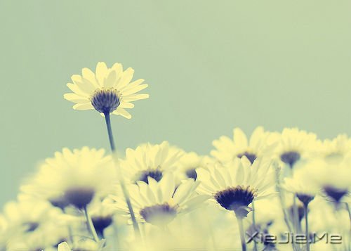 所谓幸福,就是一些不知不觉的小片断 (4)