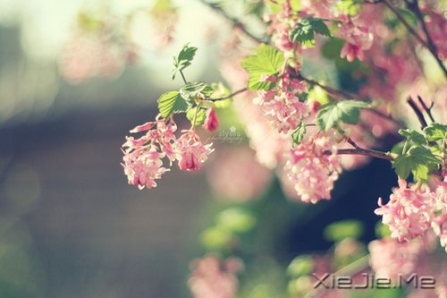 所谓幸福,就是一些不知不觉的小片断 (8)