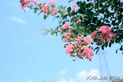 不要嘲笑别人的疤,那只是你没有经历过的伤 (1)