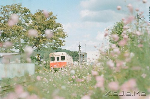 早安心语:只要你想,随时都可以开始 (4)