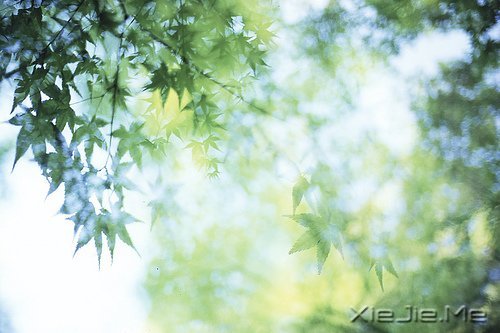 晚安心语:给时光以生命,而不是给生命以时光 (3)