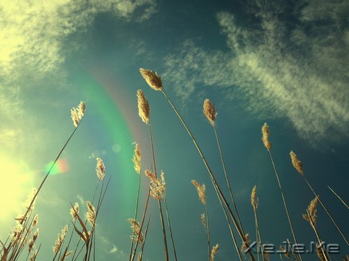 晚安心语:远处的是风景,近处的才是人生 (2)