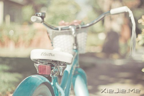 早安心语:人生与命运无关,与自己的选择有关 (4)