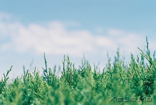 �簲��������������Ҹ��Ǽ������˰������� (8)