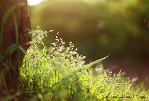 在时间的渡口,我们皆是过客 (8)