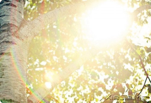 在时间的渡口,我们皆是过客 (11)