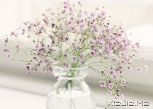 早安心语:时间会咬人,你不走就会满身伤痕 (1)