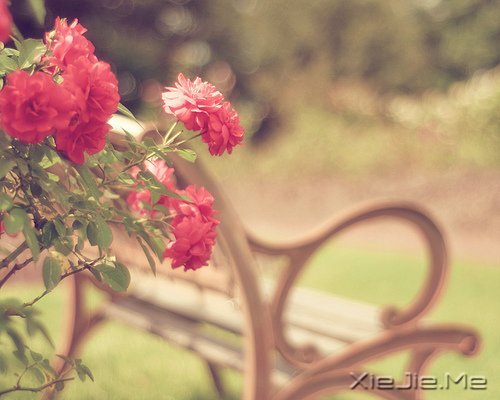 适当的放弃,是人生优雅的转身 (5)