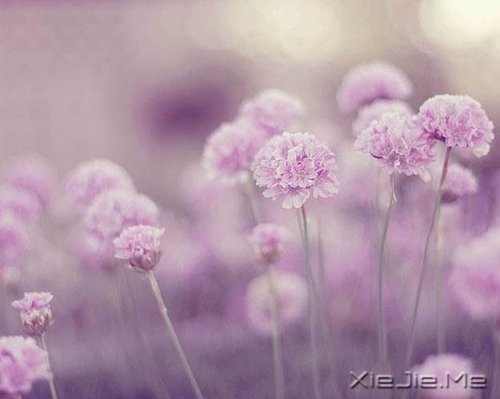 适当的放弃,是人生优雅的转身 (9)