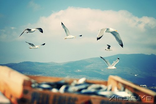 童心未泯,是一件值得骄傲的事情 (7)