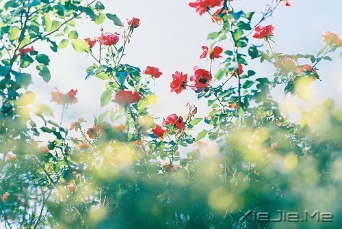 悲伤唤不回流逝的时光 (8)