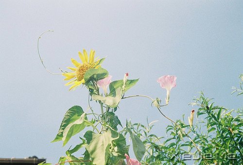 晚安心语:收拾心情,重新上路 (3)