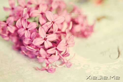 �������΢Ц��ȥ�ȴ�������õ��Լ� (6)