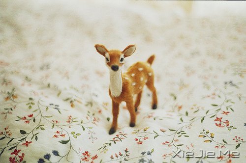 走得最急的都是最美的时光 (2)