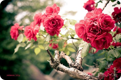 对未来的真正慷慨,是把一切献给现在 (5)