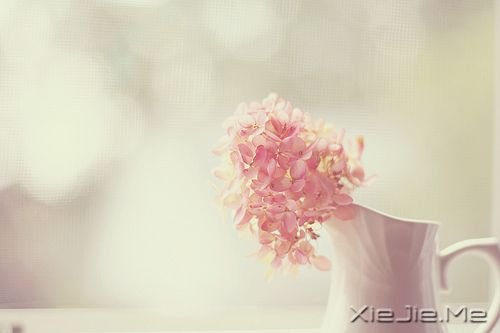 早安心语:不要让不安的情绪腐蚀了明媚的心 (9)