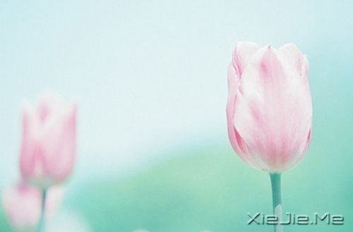 �簲�����Ȼ����������һ�ֳɳ� (10)