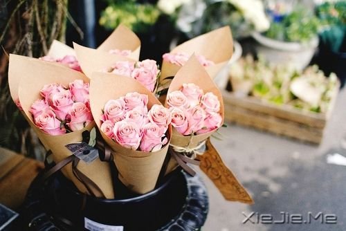 晚安心语:只要心跳还在,演出就没有落幕 (5)