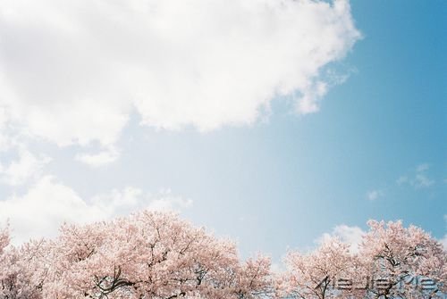 早安心语:生活,一半是回忆,一半是继续 (3)