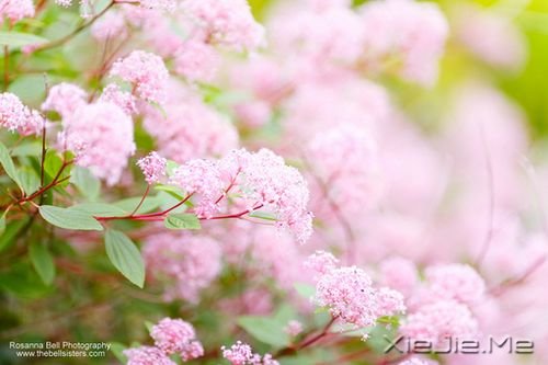 ��������������������������ȥ (5)