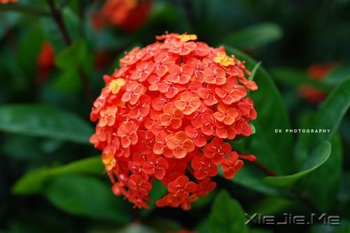 �簲�����ֻ��Ц�ĺܻ������˲Ų��ᱻ���� (6)