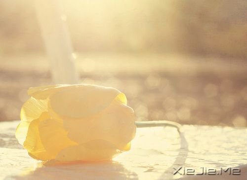 �����������ʱû�м���������Ǿ�����ͷ (5)