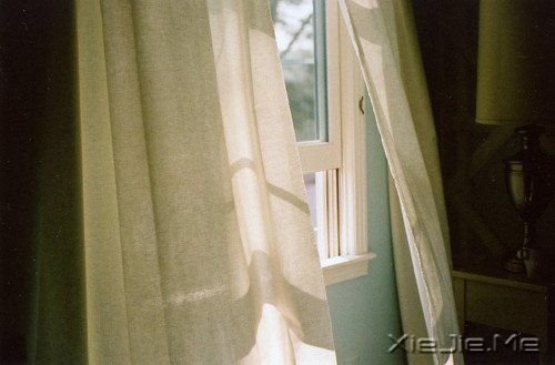 晚安心语:我想要用我的方式飞翔一次 (8)