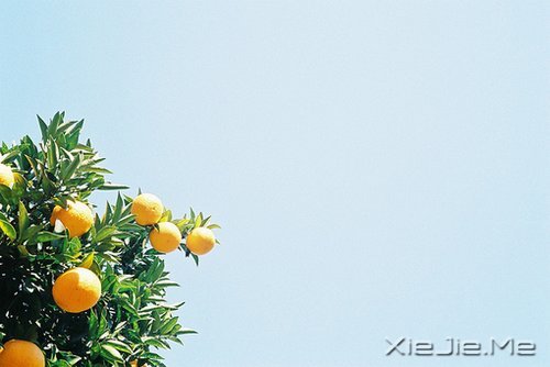 早安心语:如果我不这么在乎,生活会简单得多 (10)