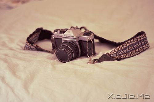 晚安心语:人最软弱的地方,是舍不得 (9)