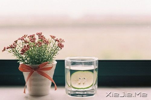 早安心语:智者嘴在心里,愚者心在嘴里 (5)