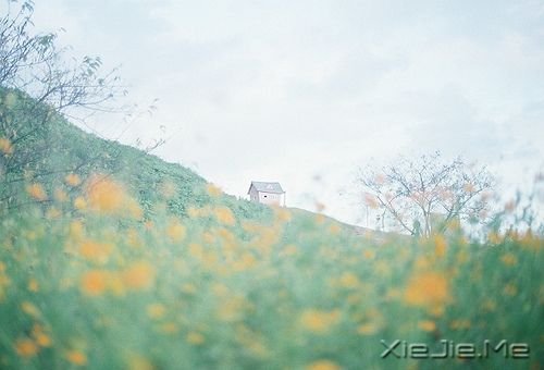 晚安心语:一个人时,善待自己;两个人时,善待对方 (10)